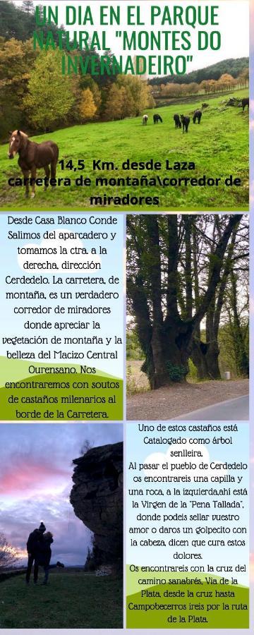 Appartamento El Camino Laza Esterno foto