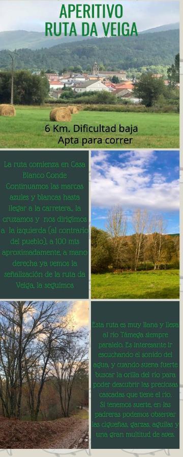Appartamento El Camino Laza Esterno foto